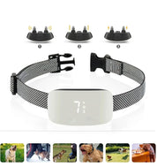 Blackie | Rechargeable Waterproof Training Collar for Dogs